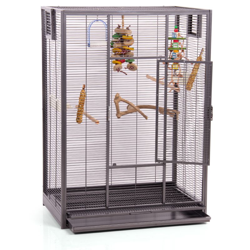 Voliere New Melbourne I